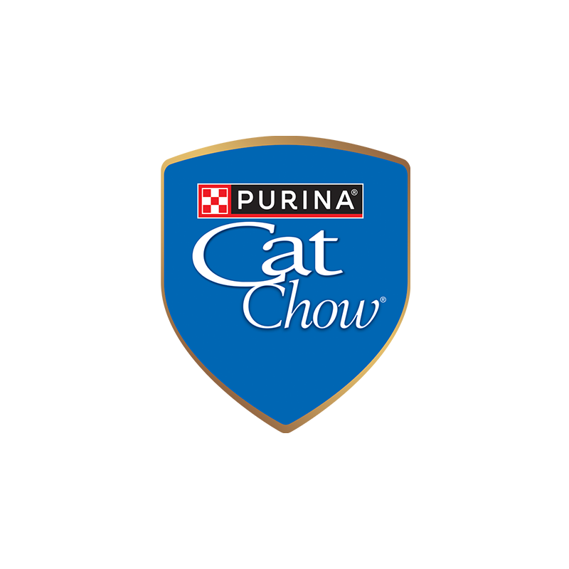 Catchow Catchow
