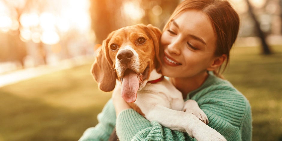 Epilepsia em cachorros Epilepsia em cachorros