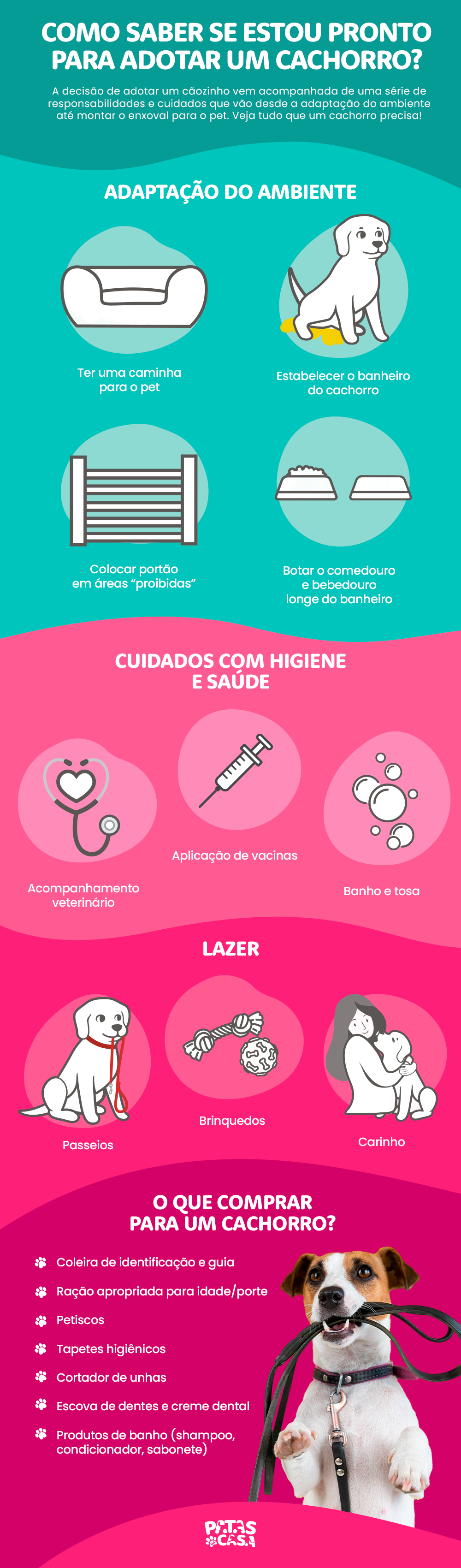 Bloco informativo com os cuidados necessários ao adotar um cachorro