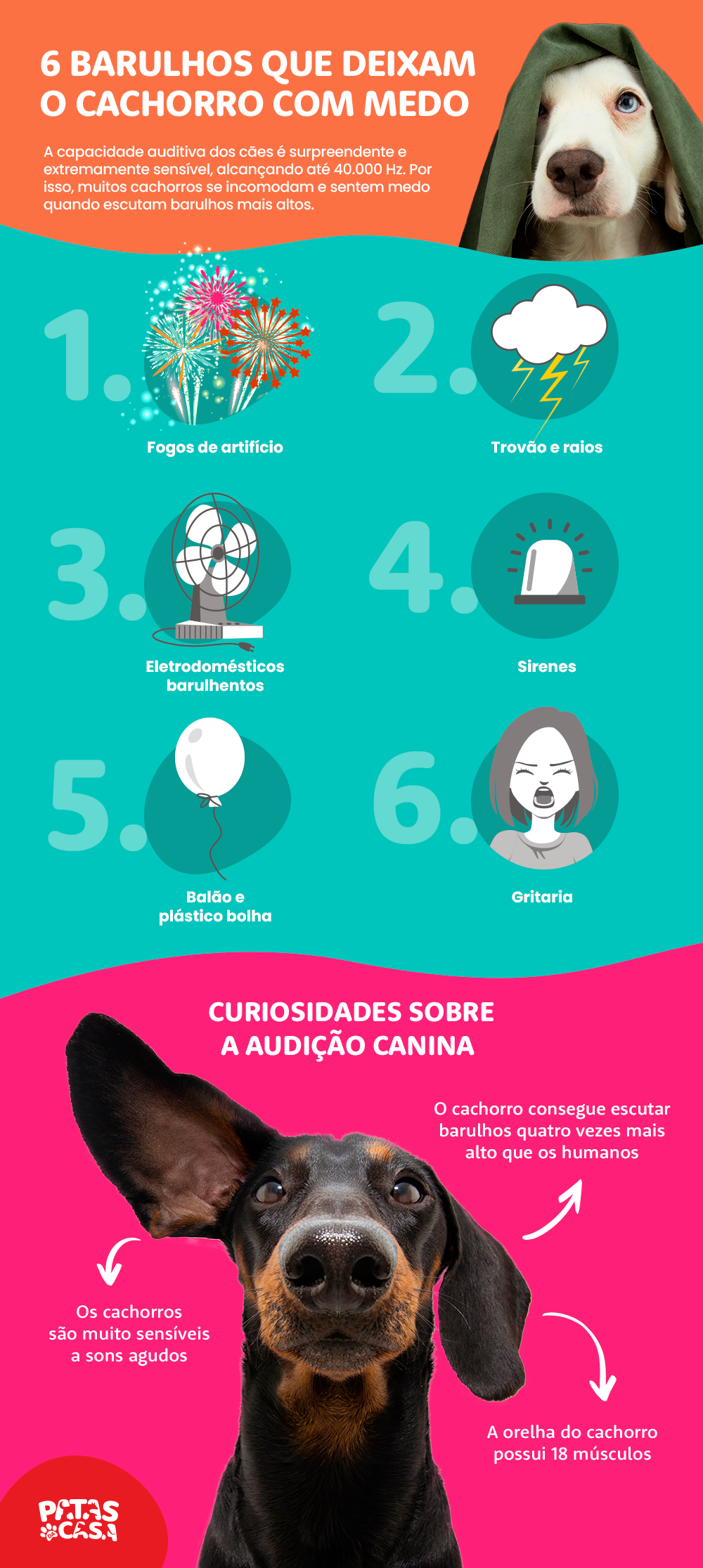infográfico mostrando os sons que cachorros não gostam