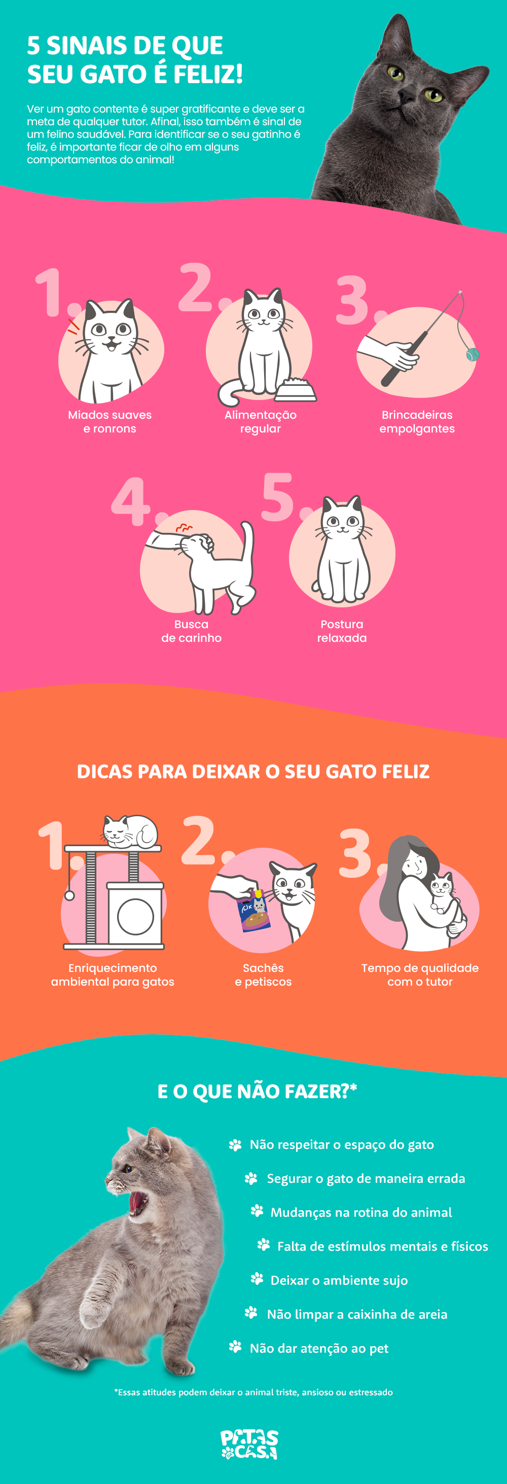 Bloco informativo mostrando os sinais de um gato feliz