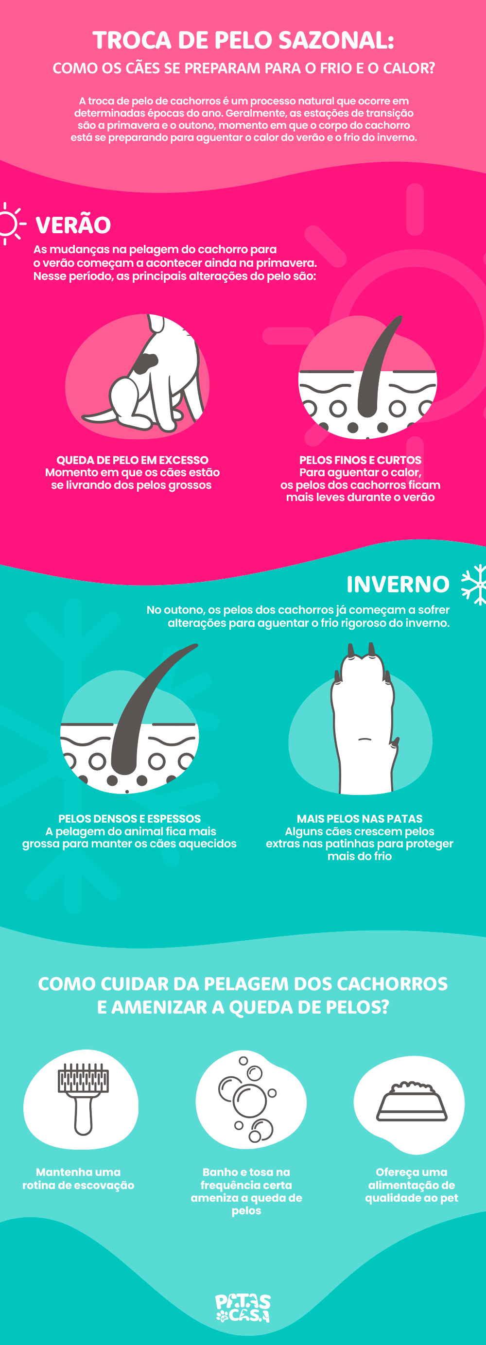 infográfico sobre a troca de pelos dos cachorros no outono e primavera