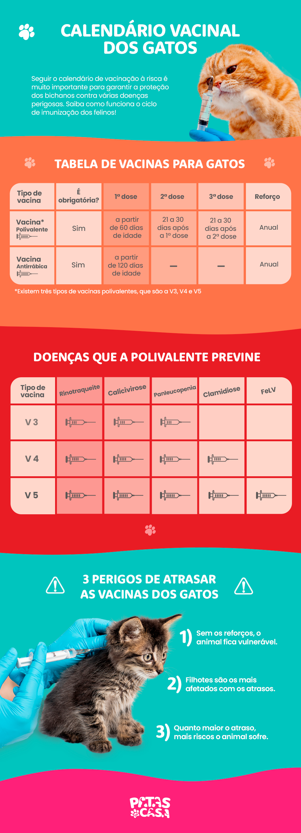 Infográfico