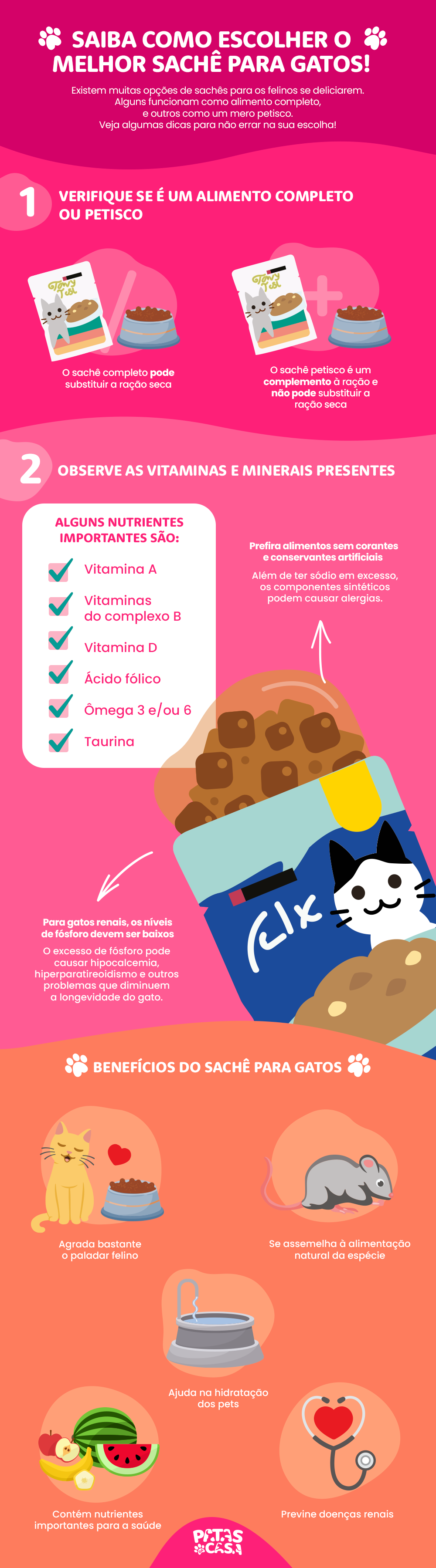 Bloco informativo mostrando como escolher o melhor sachê para gatos